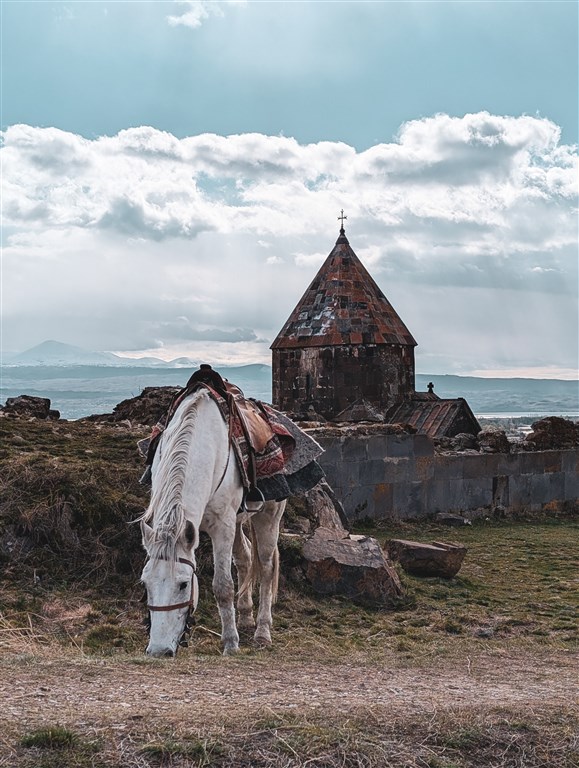 Horse at Sevan
